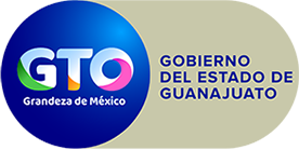 Logo Estado de Guanajuato CLiente ORS